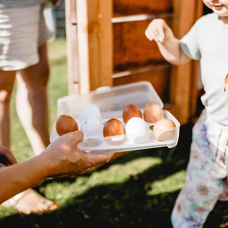 Huxfeld-hof - Hamme *